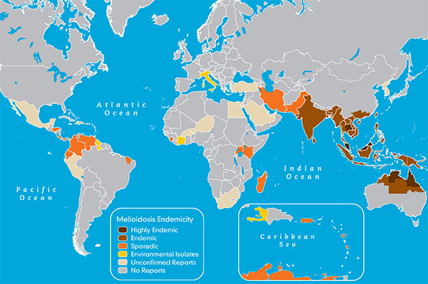 http://wwwnc.cdc.gov/travel/yellowbook/2012/chapter-3-infectious-diseases-related-to-travel/melioidosis#2549